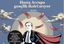 Z Raporu Kasım Avrupa Dosyası